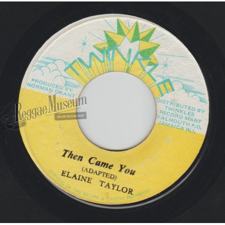 Elaine Taylor - Then Came You [Twinkle]