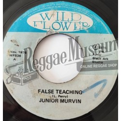 Junior Murvin - False Teaching [Wild Flower]