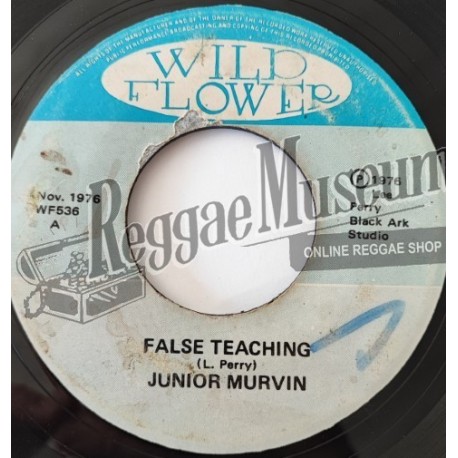 Junior Murvin - False Teaching [Wild Flower]