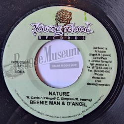 Beenie Man & DAngel - Nature [Young Blood]